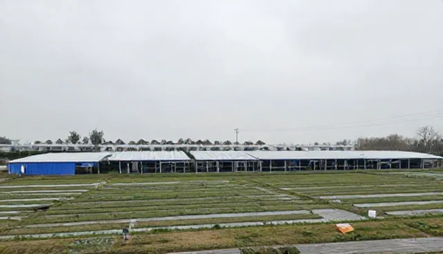 农产品销售中维护建议对使用效率的影响与应对